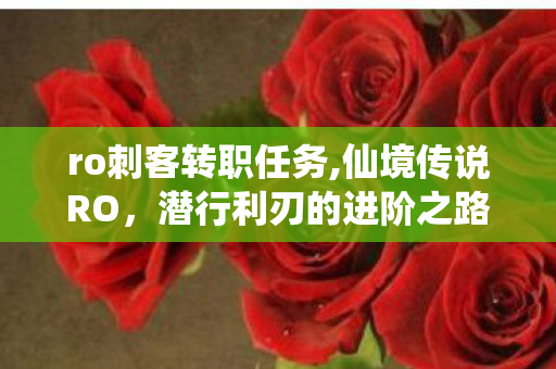 ro刺客转职任务,仙境传说RO,潜行利刃的进阶之路,刺客转职全指南 ro刺客转职任务,仙境传说RO,潜行利刃的进阶之路,刺客转职全指南