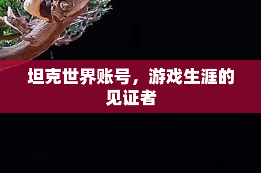 游戏生涯的见证者图片