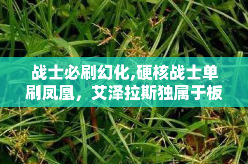 战士必刷幻化,硬核战士单刷凤凰，艾泽拉斯独属于板甲勇士的浪漫勋章