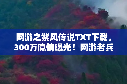 网游之紫风传说TXT下载,300万隐情曝光!网游老兵掀桌怒吼,这方案当年就该枪毙,吓一跳! 网游之紫风传说TXT下载,300万隐情曝光!网游老兵掀桌怒吼,这方案当年就该枪毙,吓一跳!