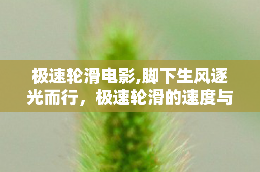 极速轮滑电影,脚下生风逐光而行,极速轮滑的速度与热爱 极速轮滑电影,脚下生风逐光而行,极速轮滑的速度与热爱