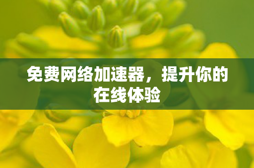 提升你的在线体验图片