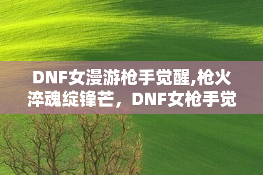 DNF女漫游枪手觉醒,枪火淬魂绽锋芒，DNF女枪手觉醒的阿拉德热血印记