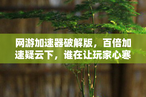 网游加速器破解版，百倍加速疑云下，谁在让玩家心寒？
