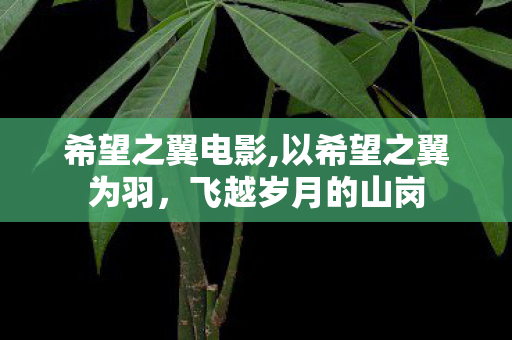 希望之翼电影,以希望之翼为羽，飞越岁月的山岗