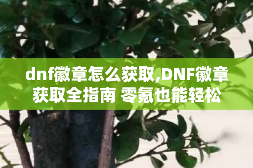 dnf徽章怎么获取,DNF徽章获取全指南 零氪也能轻松凑齐毕业属性徽章 dnf徽章怎么获取,DNF徽章获取全指南 零氪也能轻松凑齐毕业属性徽章