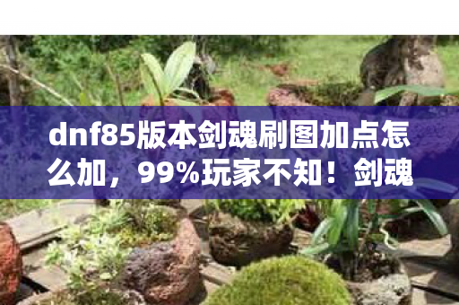 dnf85版本剑魂刷图加点怎么加，99%玩家不知！剑魂85版本刷图加点竟藏着自废武功的逆天操作