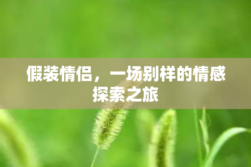 一场别样的情感探索之旅图片