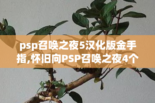 psp召唤之夜5汉化版金手指,怀旧向PSP召唤之夜4个性化游玩体验拓展指南