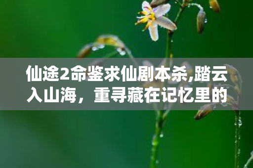 仙途2命鉴求仙剧本杀,踏云入山海,重寻藏在记忆里的逍遥仙踪 仙途2命鉴求仙剧本杀,踏云入山海,重寻藏在记忆里的逍遥仙踪