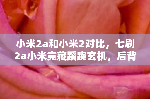 小米2a和小米2对比,七刷2a小米竟藏蹊跷玄机,后背发凉才知被耍多年! 小米2a和小米2对比,七刷2a小米竟藏蹊跷玄机,后背发凉才知被耍多年!