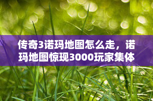 传奇3诺玛地图怎么走,诺玛地图惊现3000玩家集体绷不住!坐标疑点竟让老鸟萌新当场互喷 传奇3诺玛地图怎么走,诺玛地图惊现3000玩家集体绷不住!坐标疑点竟让老鸟萌新当场互喷