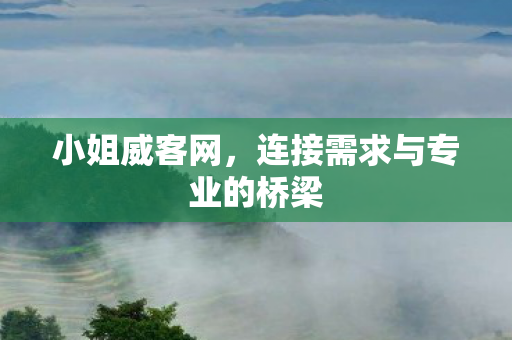 连接需求与专业的桥梁图片