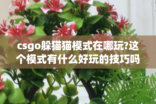 csgo躲猫猫模式在哪玩?这个模式有什么好玩的技巧吗?,CSGO躲猫猫模式游玩入口详解 轻松开启趣味整活对局