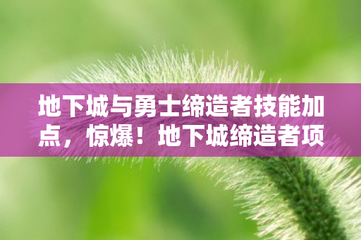 地下城与勇士缔造者技能加点，惊爆！地下城缔造者项目竟砍掉3000万玩法，背后隐情让人吓一跳