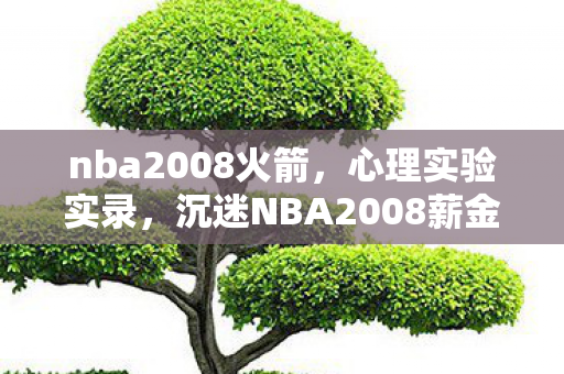 nba2008火箭，心理实验实录，沉迷NBA2008薪金补丁的细思极恐自我麻醉