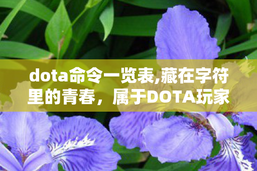dota命令一览表,藏在字符里的青春,属于DOTA玩家的命令记忆 dota命令一览表,藏在字符里的青春,属于DOTA玩家的命令记忆