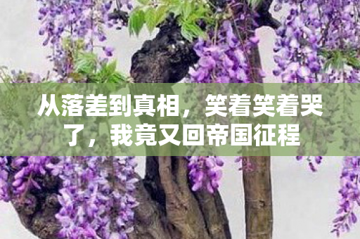 从落差到真相，笑着笑着哭了，我竟又回帝国征程