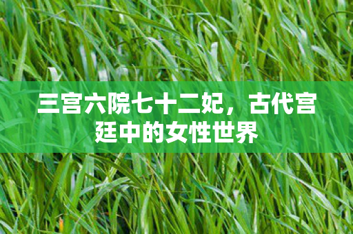 古代宫廷中的女性世界图片