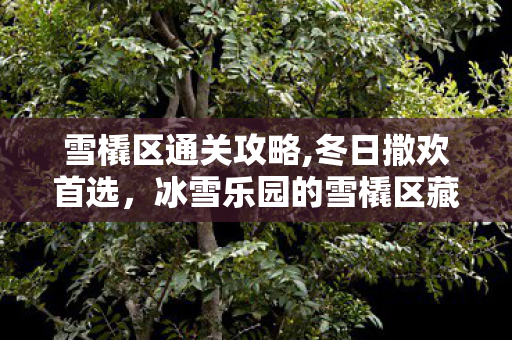 雪橇区通关攻略,冬日撒欢首选，冰雪乐园的雪橇区藏着满溢的烟火气