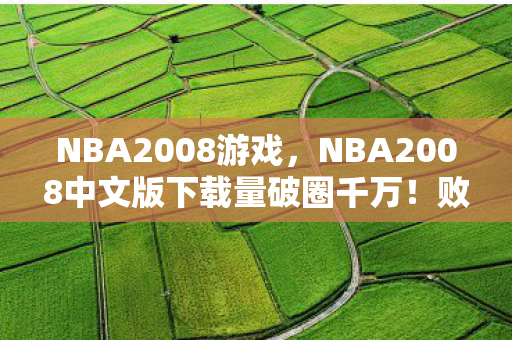 NBA2008游戏，NBA2008中文版下载量破圈千万！败家玩家的衍生数狂欢盛宴
