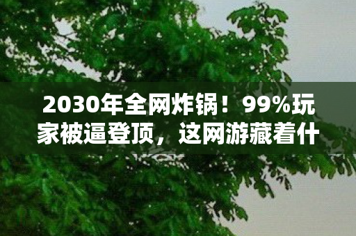 2030年全网炸锅！99%玩家被逼登顶，这网游藏着什么惊天秘密？