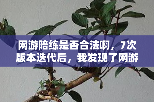 网游陪练是否合法啊，7次版本迭代后，我发现了网游陪练行业最隐秘的真相