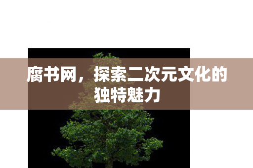 探索二次元文化的独特魅力图片
