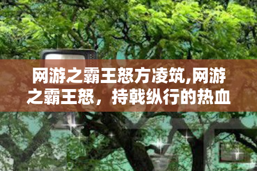网游之霸王怒方凌筑,网游之霸王怒，持戟纵行的热血江湖路
