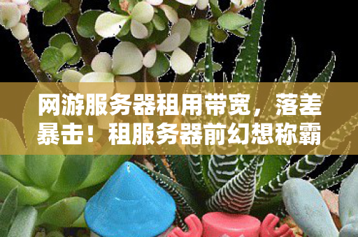 网游服务器租用带宽，落差暴击！租服务器前幻想称霸全服，真相是笑着笑着就哭了