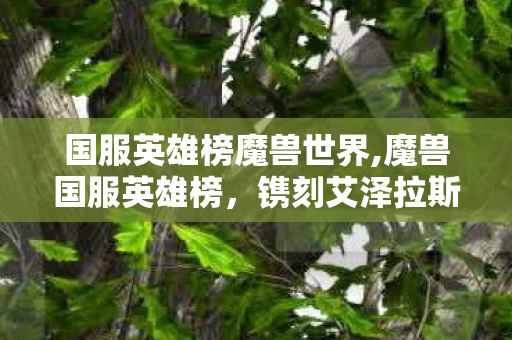 国服英雄榜魔兽世界,魔兽国服英雄榜，镌刻艾泽拉斯岁月的专属荣光手册