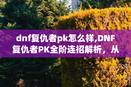 dnf复仇者pk怎么样,DNF复仇者PK全阶连招解析,从入门起手到高阶压制的实战思路 dnf复仇者pk怎么样,DNF复仇者PK全阶连招解析,从入门起手到高阶压制的实战思路
