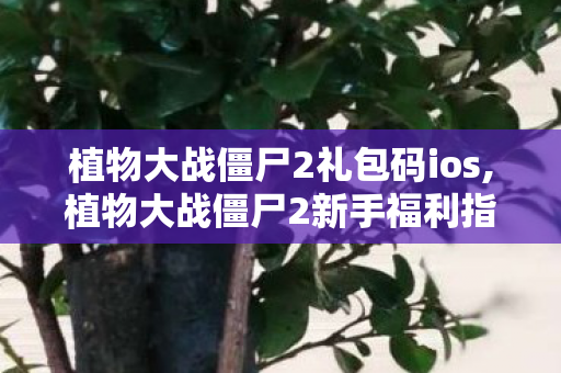 植物大战僵尸2礼包码ios,植物大战僵尸2新手福利指南，用好礼包激活码轻松开启冒险之旅
