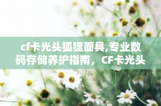 cf卡光头狐狸面具,专业数码存储养护指南，CF卡光头的日常维护与实用排查技巧