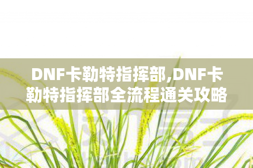 DNF卡勒特指挥部,DNF卡勒特指挥部全流程通关攻略,重温阿拉德远古副本的热血挑战 DNF卡勒特指挥部,DNF卡勒特指挥部全流程通关攻略,重温阿拉德远古副本的热血挑战