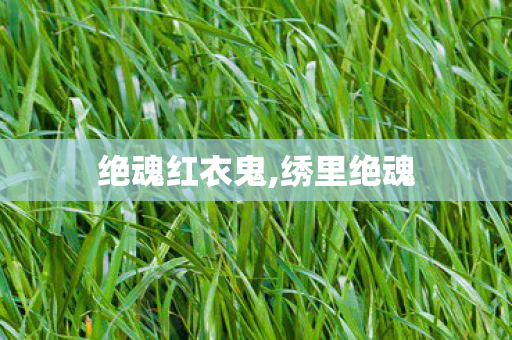 绝魂红衣鬼,绣里绝魂 绝魂红衣鬼,绣里绝魂
