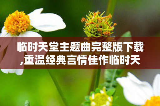 临时天堂主题曲完整版下载,重温经典言情佳作临时天堂 解锁舒适流畅的正版观剧体验 临时天堂主题曲完整版下载,重温经典言情佳作临时天堂 解锁舒适流畅的正版观剧体验