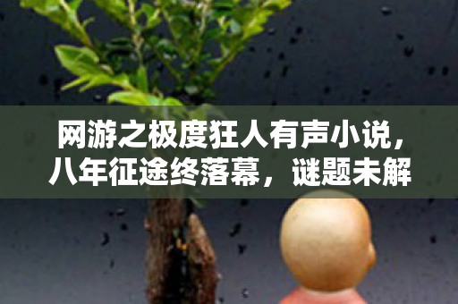 网游之极度狂人有声小说，八年征途终落幕，谜题未解泪满襟——网游狂人的谢幕独白