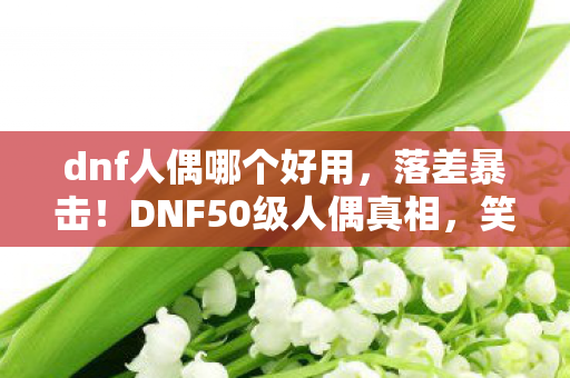 dnf人偶哪个好用,落差暴击!DNF50级人偶真相,笑着笑着就哭了,这坑我到底图啥? dnf人偶哪个好用,落差暴击!DNF50级人偶真相,笑着笑着就哭了,这坑我到底图啥?