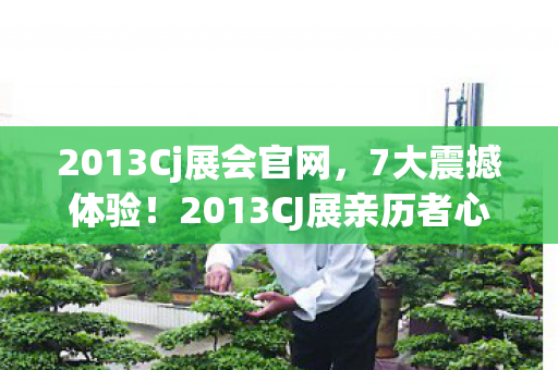 2013Cj展会官网,7大震撼体验!2013CJ展亲历者心得+避坑指南大公开 2013Cj展会官网,7大震撼体验!2013CJ展亲历者心得+避坑指南大公开