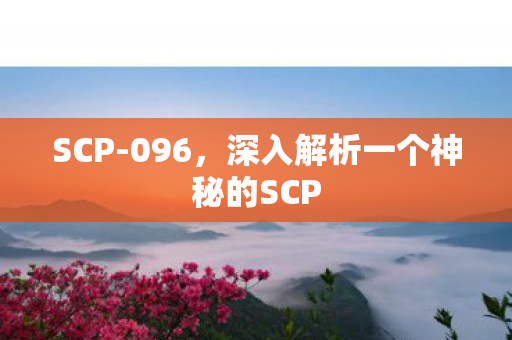 深入解析一个神秘的SCP图片