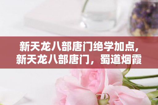新天龙八部唐门绝学加点,新天龙八部唐门,蜀道烟霞里的暗器江湖传奇 新天龙八部唐门绝学加点,新天龙八部唐门,蜀道烟霞里的暗器江湖传奇