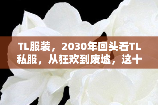 TL服装,2030年回头看TL私服,从狂欢到废墟,这十年我们究竟失去了什么? TL服装,2030年回头看TL私服,从狂欢到废墟,这十年我们究竟失去了什么?