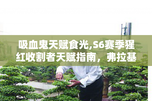 吸血鬼天赋食光,S6赛季猩红收割者天赋指南,弗拉基米尔的战场续航与爆发平衡之道 吸血鬼天赋食光,S6赛季猩红收割者天赋指南,弗拉基米尔的战场续航与爆发平衡之道
