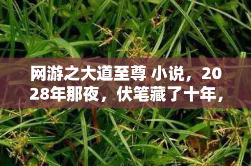 网游之大道至尊 小说,2028年那夜,伏笔藏了十年,再见时竟鼻子一酸 网游之大道至尊 小说,2028年那夜,伏笔藏了十年,再见时竟鼻子一酸