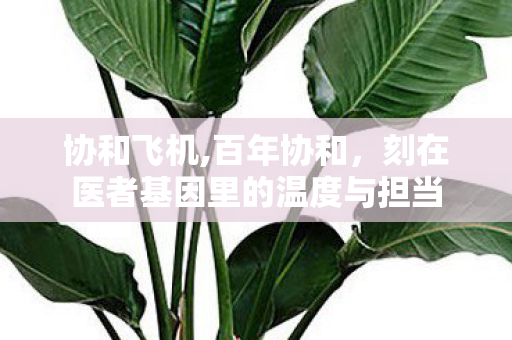 协和飞机,百年协和,刻在医者基因里的温度与担当 协和飞机,百年协和,刻在医者基因里的温度与担当