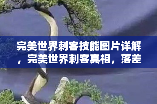 完美世界刺客技能图片详解,完美世界刺客真相,落差感拉满,笑着笑着就哭了 完美世界刺客技能图片详解,完美世界刺客真相,落差感拉满,笑着笑着就哭了