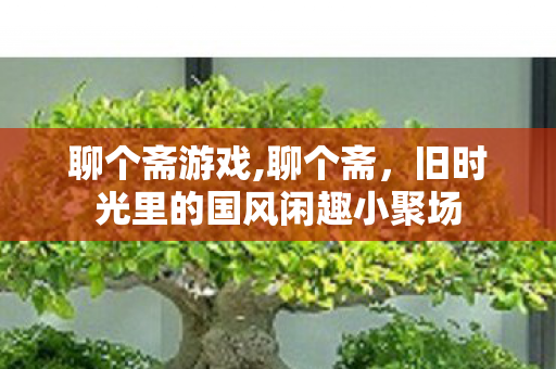 聊个斋游戏,聊个斋,旧时光里的国风闲趣小聚场 聊个斋游戏,聊个斋,旧时光里的国风闲趣小聚场
