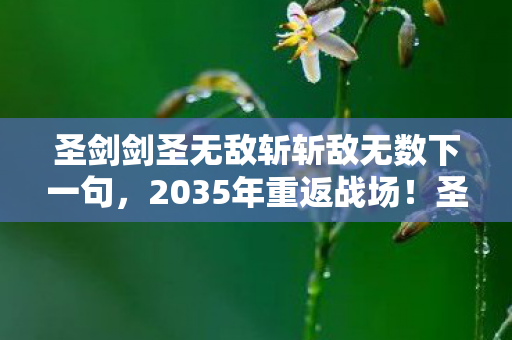 圣剑剑圣无敌斩斩敌无数下一句,2035年重返战场!圣剑剑圣无敌斩为何仍是传说级杀招? 圣剑剑圣无敌斩斩敌无数下一句,2035年重返战场!圣剑剑圣无敌斩为何仍是传说级杀招?