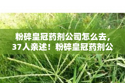 粉碎皇冠药剂公司怎么去,37人亲述!粉碎皇冠药剂公司疑云,那些在网吧绷不住的真相 粉碎皇冠药剂公司怎么去,37人亲述!粉碎皇冠药剂公司疑云,那些在网吧绷不住的真相